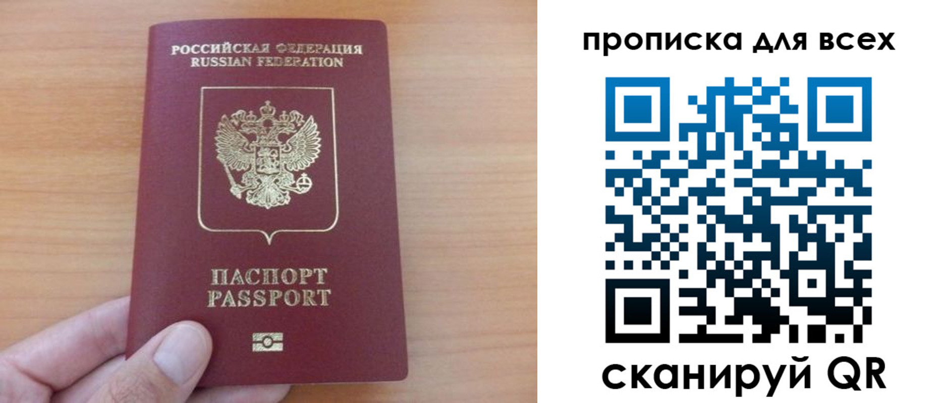 прописка поиск в Светлогорске